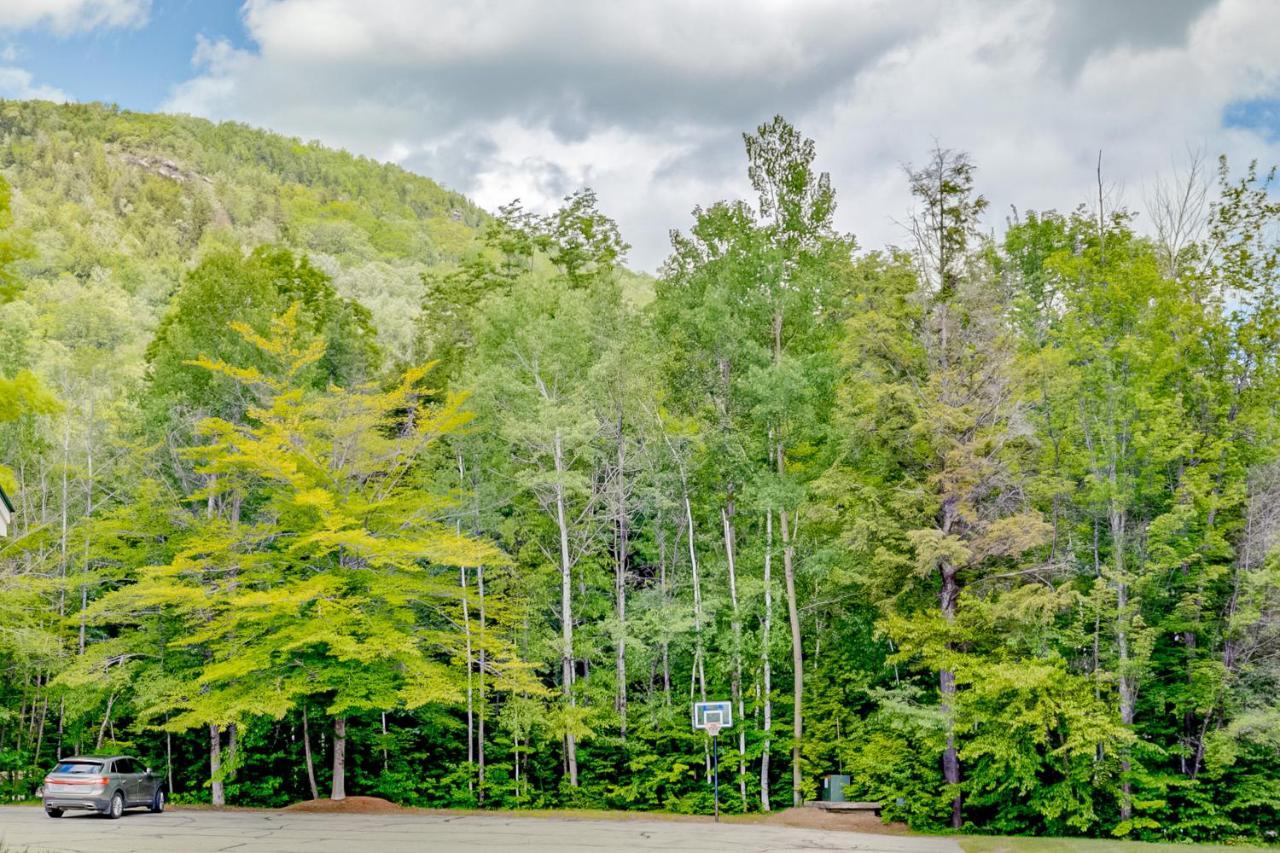 דירות לינקולן White Mountain Retreat מראה חיצוני תמונה